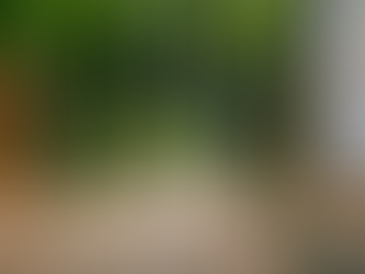 Deck Railings That Make a Statement