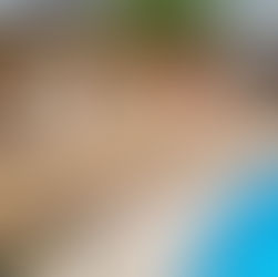 Fencing and Decking in Canada