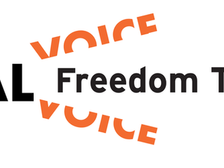 Visual Voice: Freedom to Create