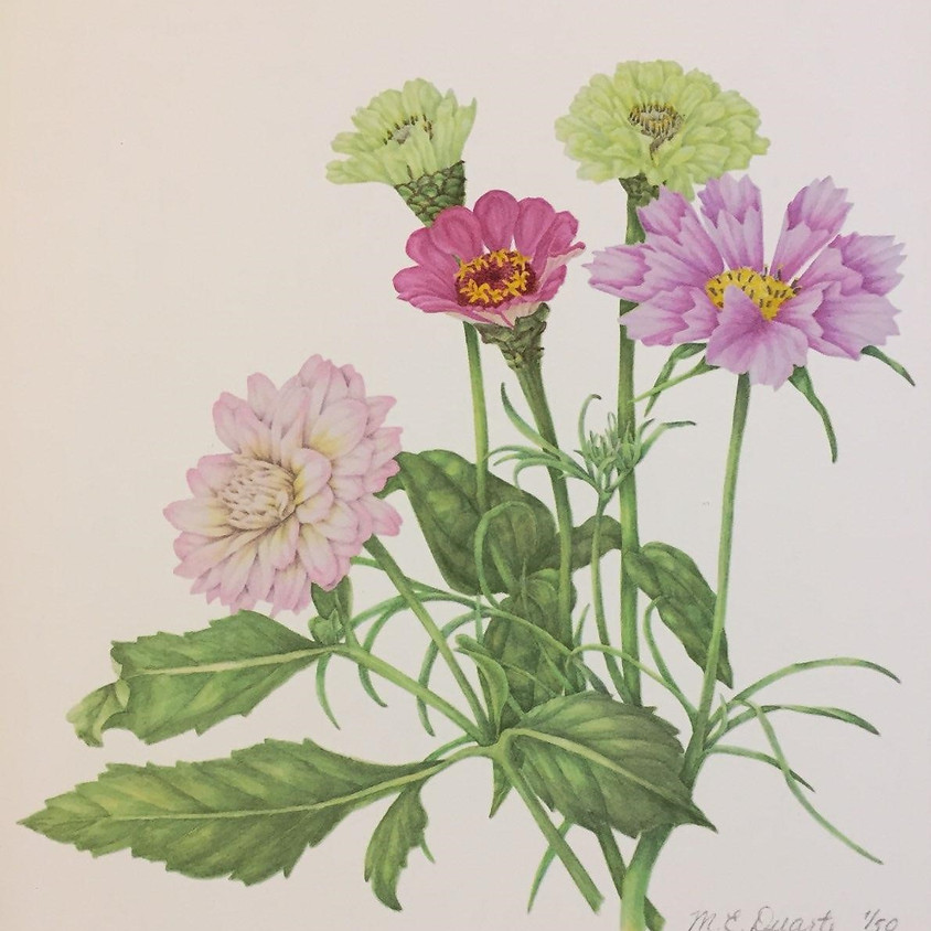 Drawing From Within with Ellen Duarte