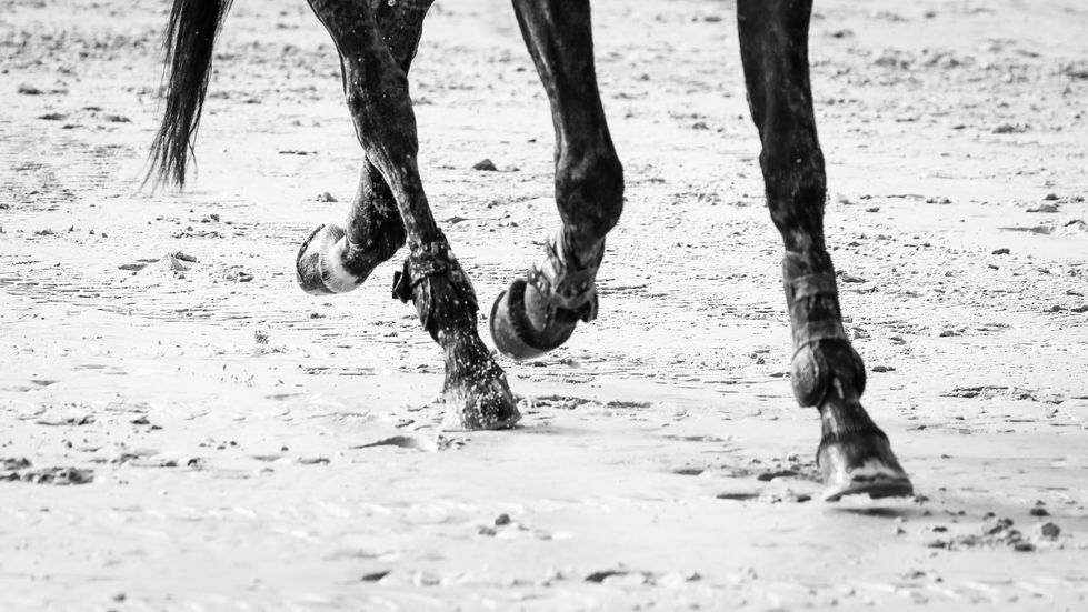 20221002160924_IMG_8935 (1)