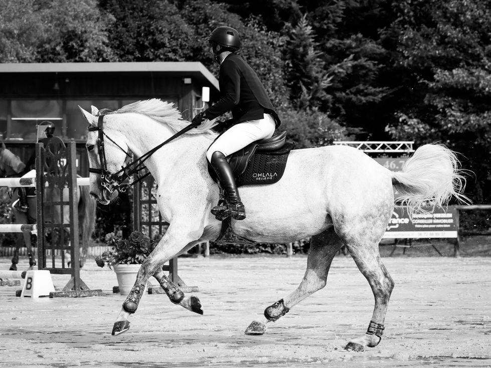 20221002145918_IMG_8335