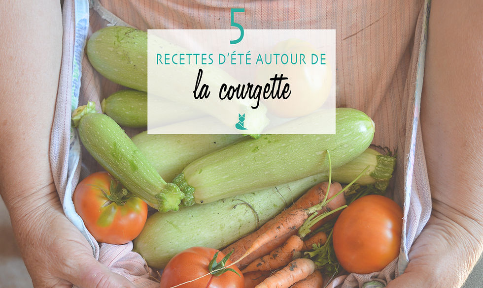 recette ete courgette bio sain