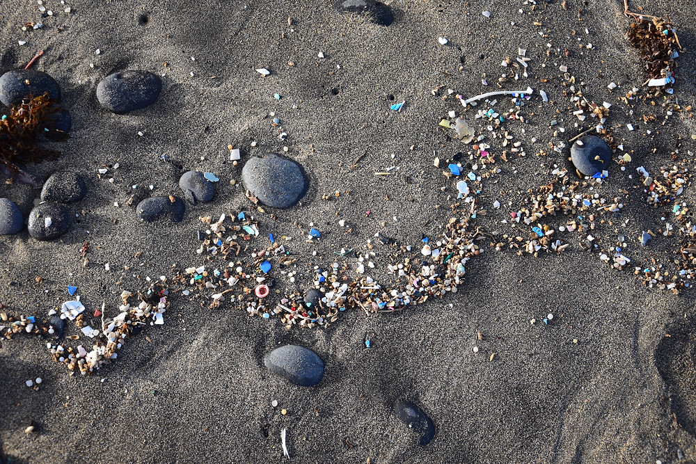 microplastiques pollution ocean