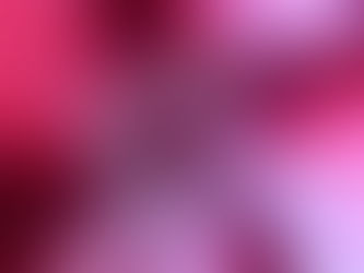 天 竺 葵 的 陪 伴