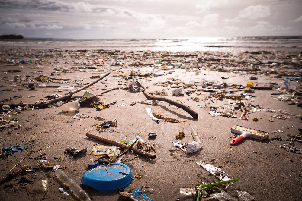 microplastiques pollution plage ocean effets sante