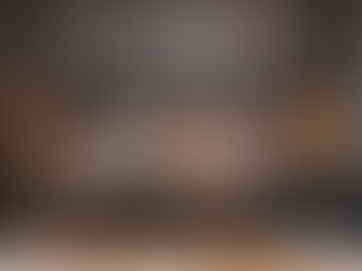 Designová perla k pronájmu v Holešovicích