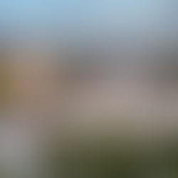 Za 10 let se bydlení v Praze a Středočeském kraji dramaticky prodražilo