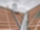 e0b0b931-7a1b-4f64-aac3-76bb3bfef53e_edited.jpg