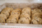 DSC04567.jpg