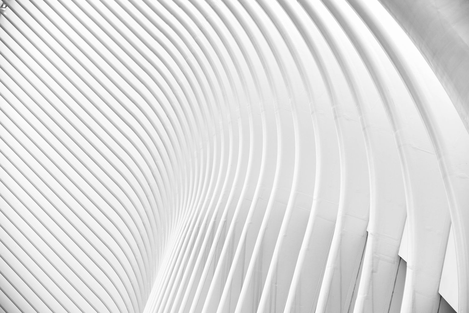 abstract-curve-design-911738.jpg
