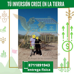 entrega fisica 5.jpg