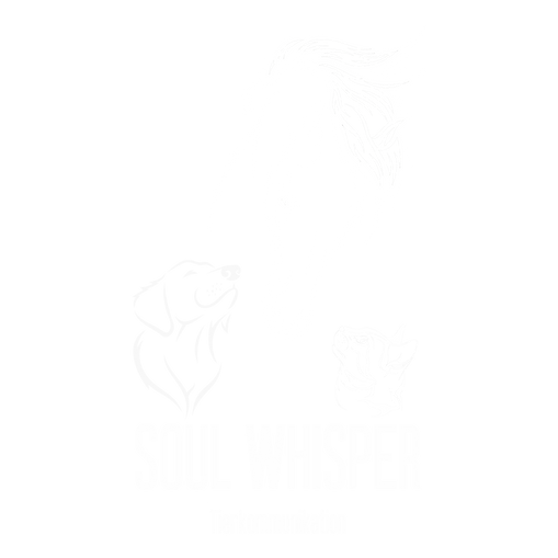 SW Logo white_final.png