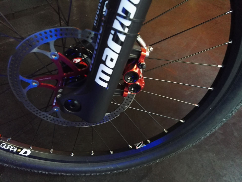 Miniatura: Bici Bixwatt CHI