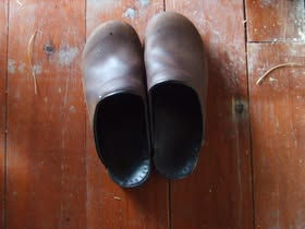 Thay's shoes