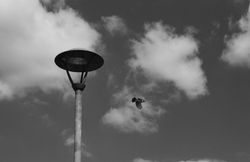 DSC_0018