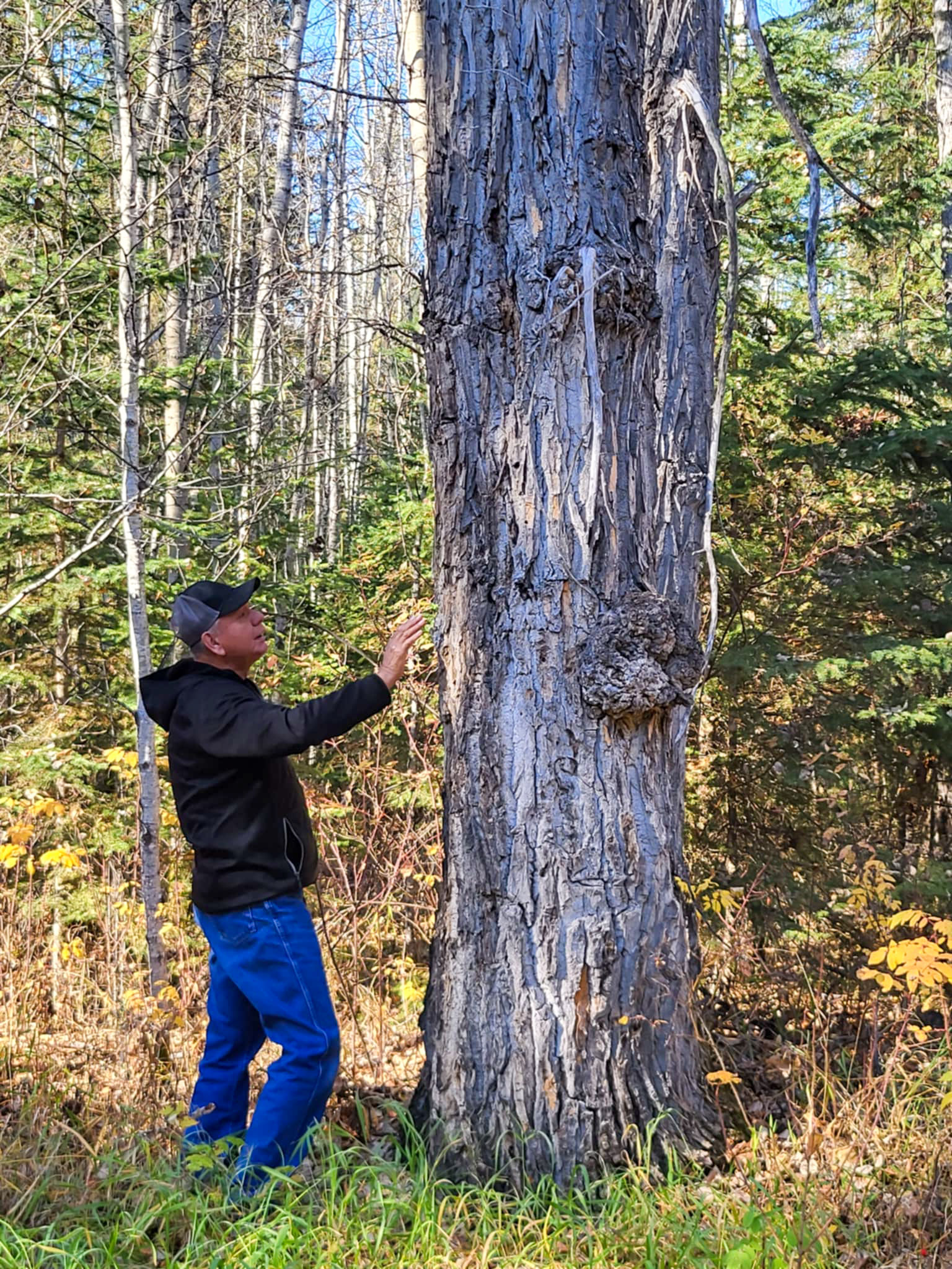 Elder Philip by tree