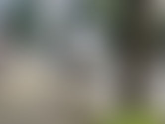 ～発見！移動式パン屋さん～