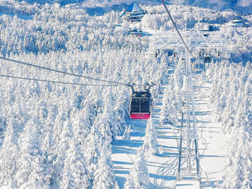 スキー場へ行きましょう!