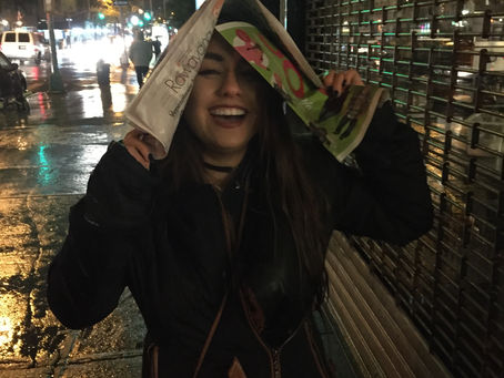 NY Day 5: Brooklyn Bag Lady