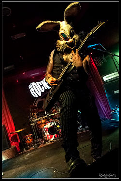 Mr. Bunny (Cold Cold Ground)