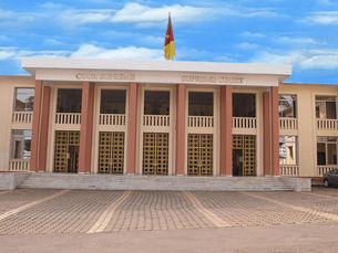 ABÉCÉDAIRE SUR LE DÉLIT D’ÉVASION EN DROIT PÉNAL CAMEROUNAIS.