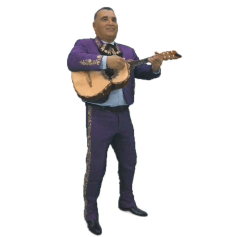 guitar.gif