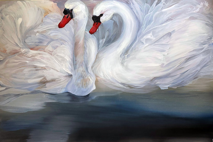 swans.jpg
