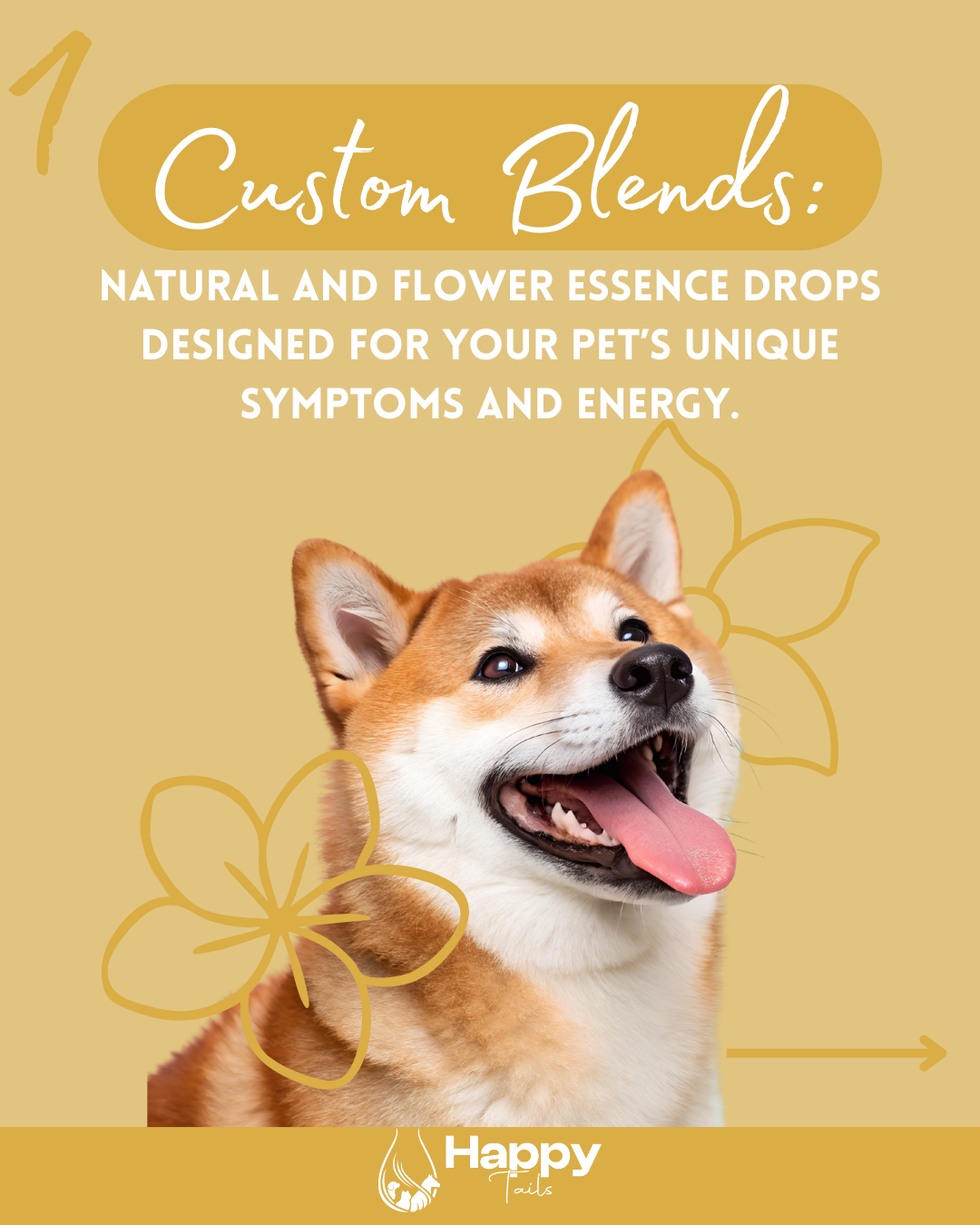 Social Media Post: Services Snapshot (Carousel 1)