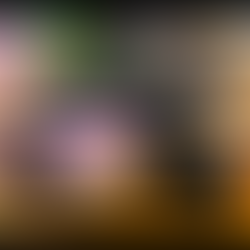 Download The POPOLOGIST® Camera SLINGER Video Game For Free While It Lasts!