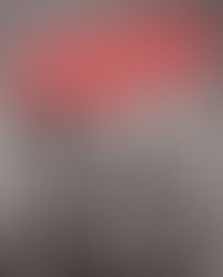 The Philosophy of Modern Song