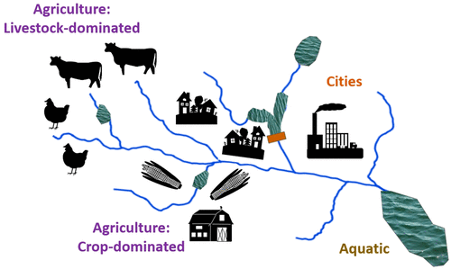 City phosphorus, country phosphorus: can we mitigate P in different environments?