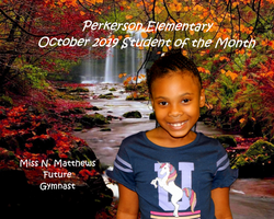 2 N Matthews Gymnast