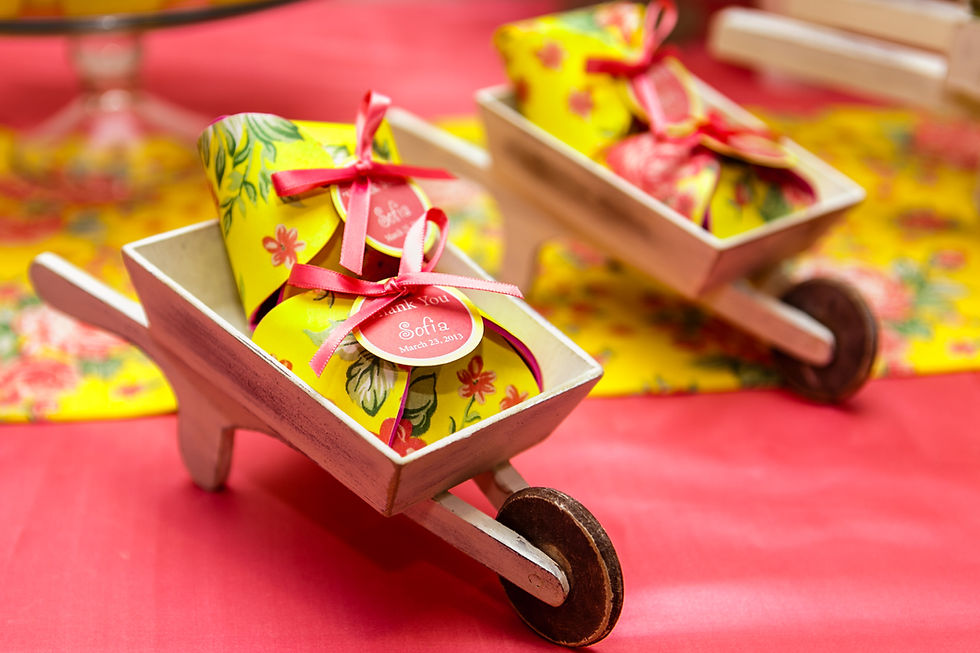 FLB_3_French Macaroon Favors