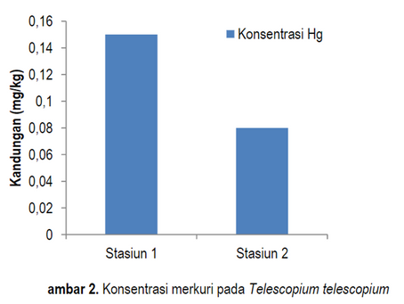 Mercury Contenton Mangrove Roots and Telescopium telescopiumin Kao Bay, North Halmahera