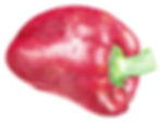 Red Bell Pepper
