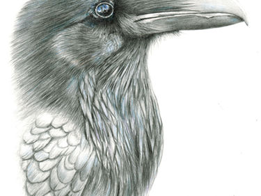 Raven & Crow Show
