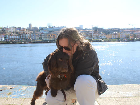 Moving our dog to Europe