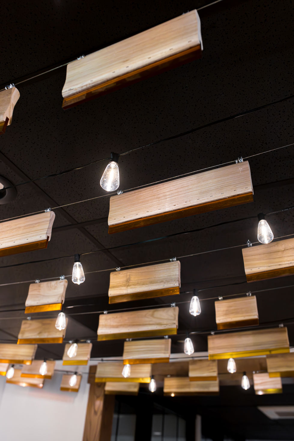 Squeegee Ceiling Install