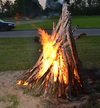 DSC_1280.JPG