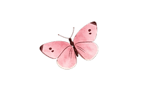 ChatGPT Image Mar 20, 2026 at 09_12_04 AM.png