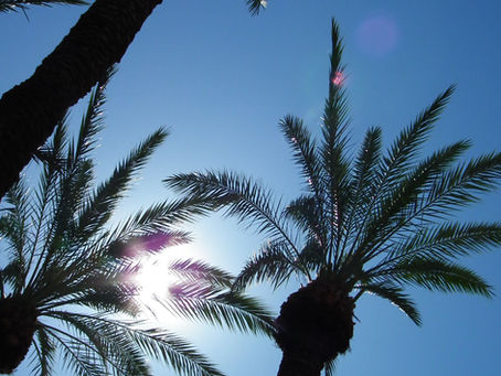 Themed resort and golf itineraries tailored for Arizona’s luxury and adventure-loving travelers
