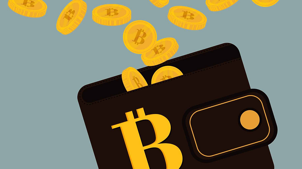 Wallet BTC