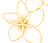 Plumeria Flower