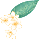 Plumeria Flower