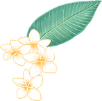 Plumeria Flower