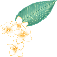 Plumeria Flower