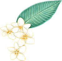 Plumeria Fleur