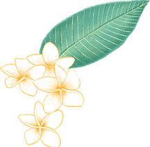 羽毛花
