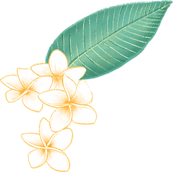 プルメリアの花